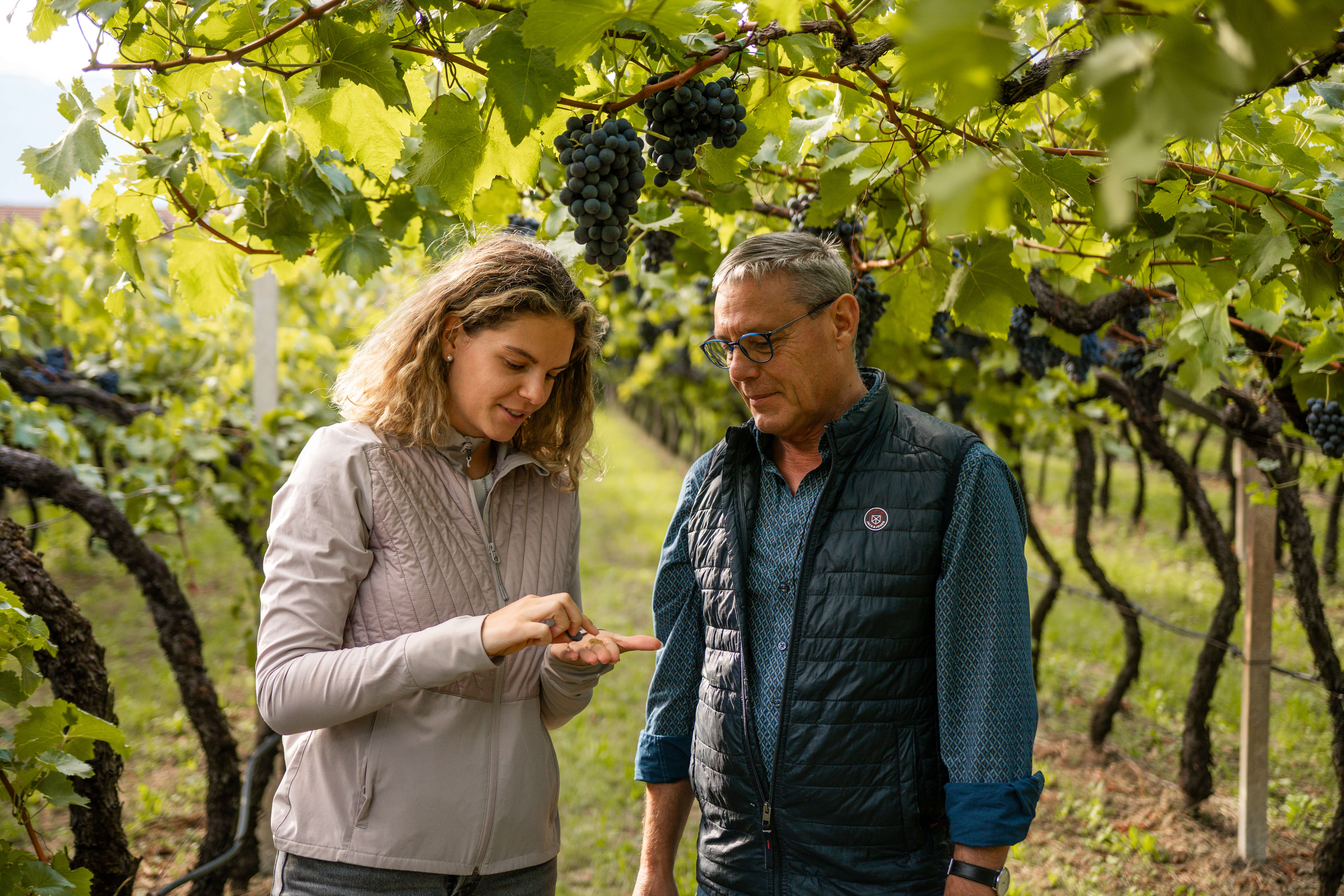 Bild · Denkart & Terroir
